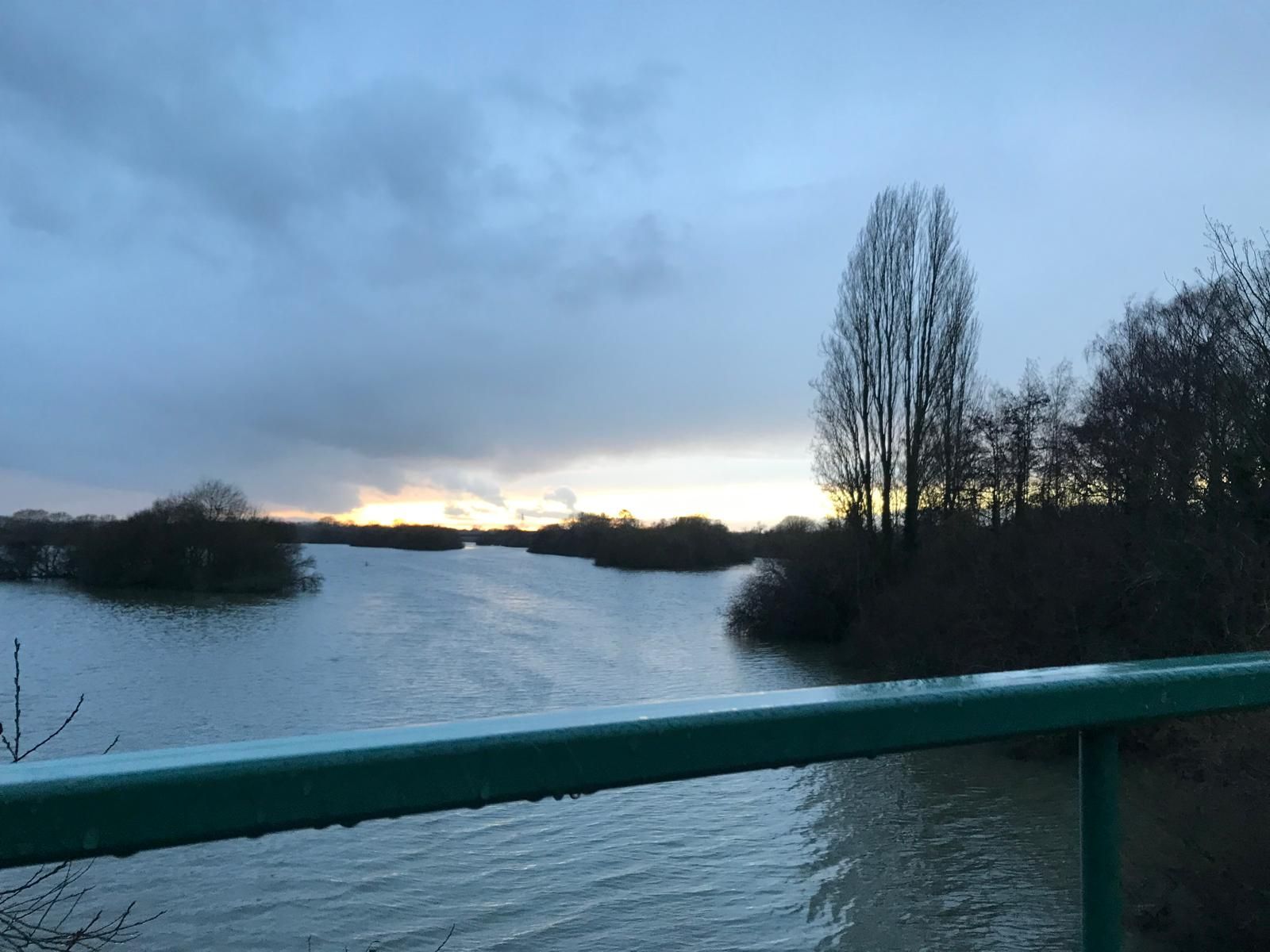 the pond at attenborough